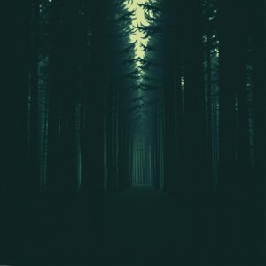 Bruit du silence