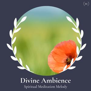 Uplifting Mindful Melodies