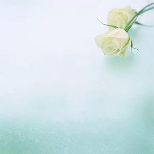 西楼儿女（新版）