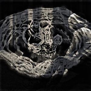 今天不想做歌了，反正也没人听。