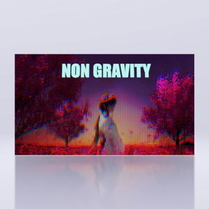 NON GRAVITY