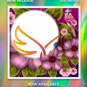 AÑO NUEVO VIDA NUEVA