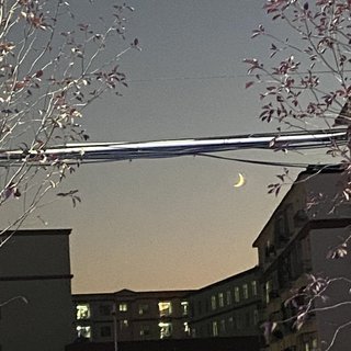 陪我一起看海吧