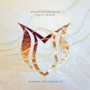 Infiltrate (Original Mix)