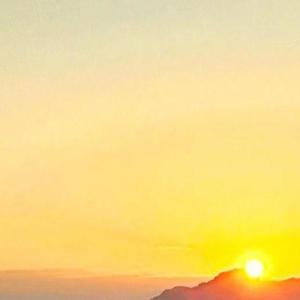 请君为我倾耳听