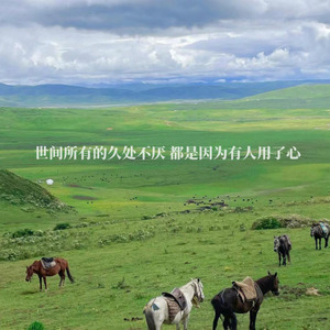 黑色才是包容万物