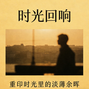 重印时光里的淡薄余晖.wav