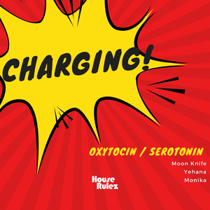 Charging (Feat. Monika)