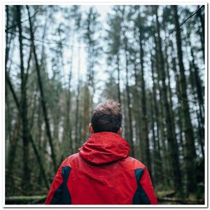 纸飞机与沉没的心跳