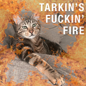Tarkin's ****in' Fire