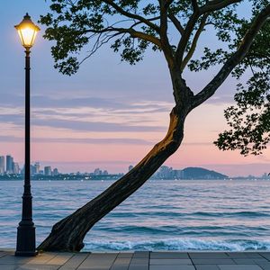 四月初六温柔情歌版