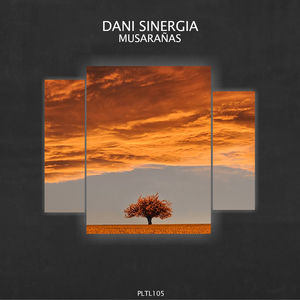 Musarañas (Original Mix)