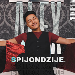 Spijondzije