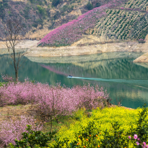 桃源水乡·花果鹤峰