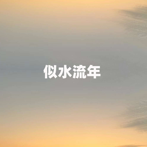 似水流年