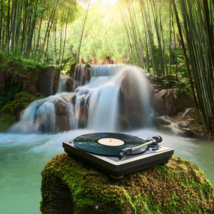 Paper Cuts And Pads On Loop