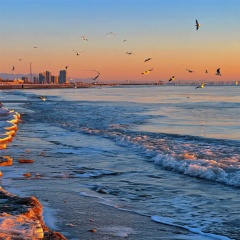 Jar of love (DJ纯享)