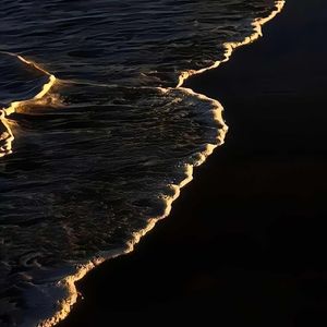 夜に駆ける