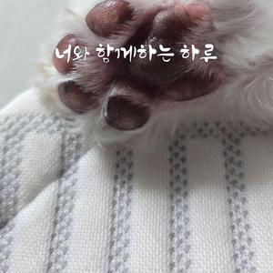 강아지의 하루