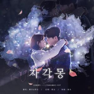 자각몽（清醒梦） -【当你沉睡时OST】