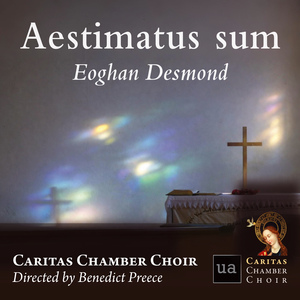 Aestimatus Sum