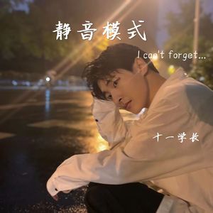 静音模式