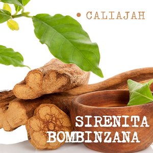 Sirenita Bombinzana