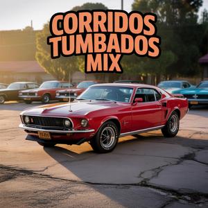 Tropiezos De La Vida MIX 1