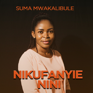 Nikufanyie Nini