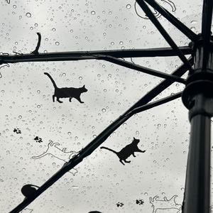 涩（Prod.Vibeboi）