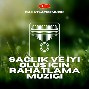 İnanılmaz Yeni Çağ Sesleri