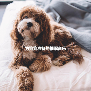 Superlative Piano Duo and Alto Sax - Vibe for Visual Adventures