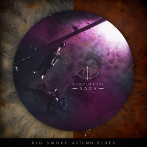 Rollercoasters (Bonus Track)