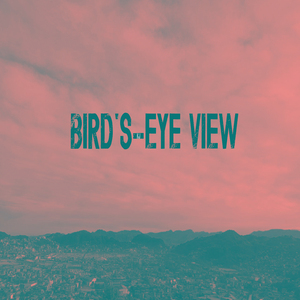 Bird's-eye View