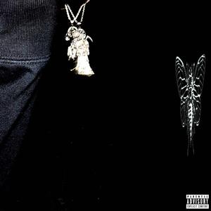 stop ahead, freestyle