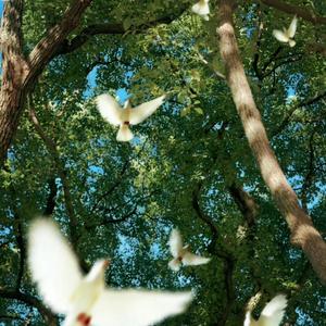 去追求一切你想要的东西，除了爱情