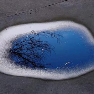 骄傲（cover：王源）