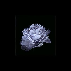 Right now (softcore)