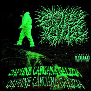 Daphne Caruana Galizia