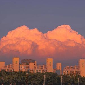 小阿枫-明月夜（7妹 remix）