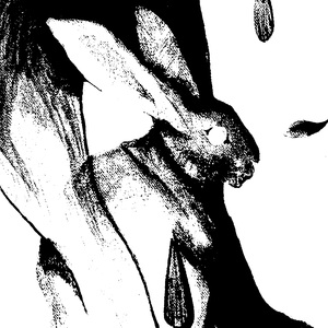 Night Scene with Coyote