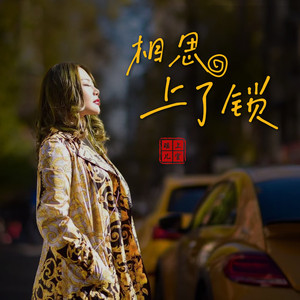 相思上了锁 (DJ沈念版伴奏)