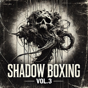 Shadow Boxing Vol.3