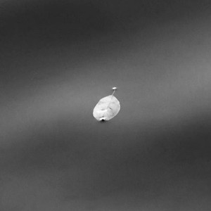 寂寞的季节 布鲁斯口琴