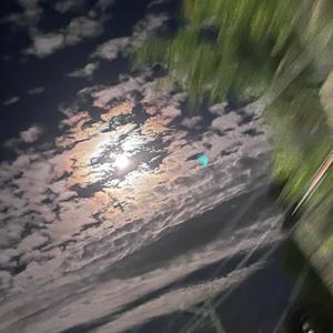 Insomniac (feat. Mahx)