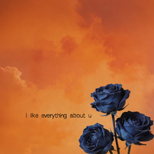 i like everything about u