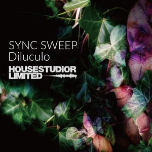 Diluculo (Main Mix)