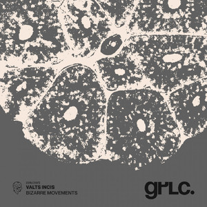 Night Driving (Original Mix)