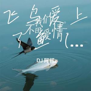 飞鸟爱上了鱼  (我们本就不应该相爱)