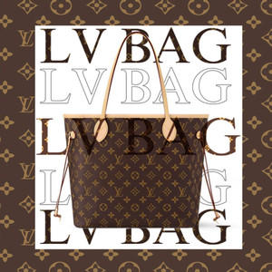 LV BAG
